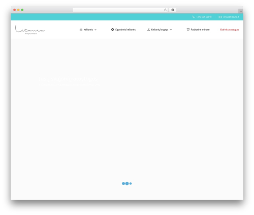 Theme WordPress codemakers - litaura.lt