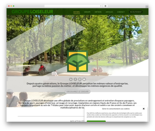 Better block editor WordPress plugin - groupeloiseleur.com