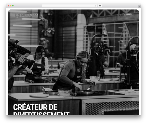 Wp hummingbird WordPress plugin - pixcom.com