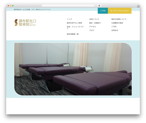 Ocean theme WordPress - choufu-seikotsu.com