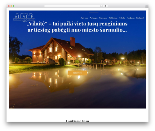 Dfd extensions WordPress plugin - vilaite.lt