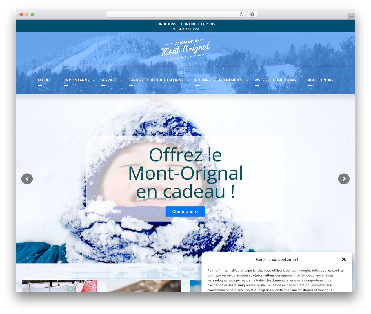 Theme WordPress WinterZone - montorignal.com Theme WordPress WinterZone - montorignal.com