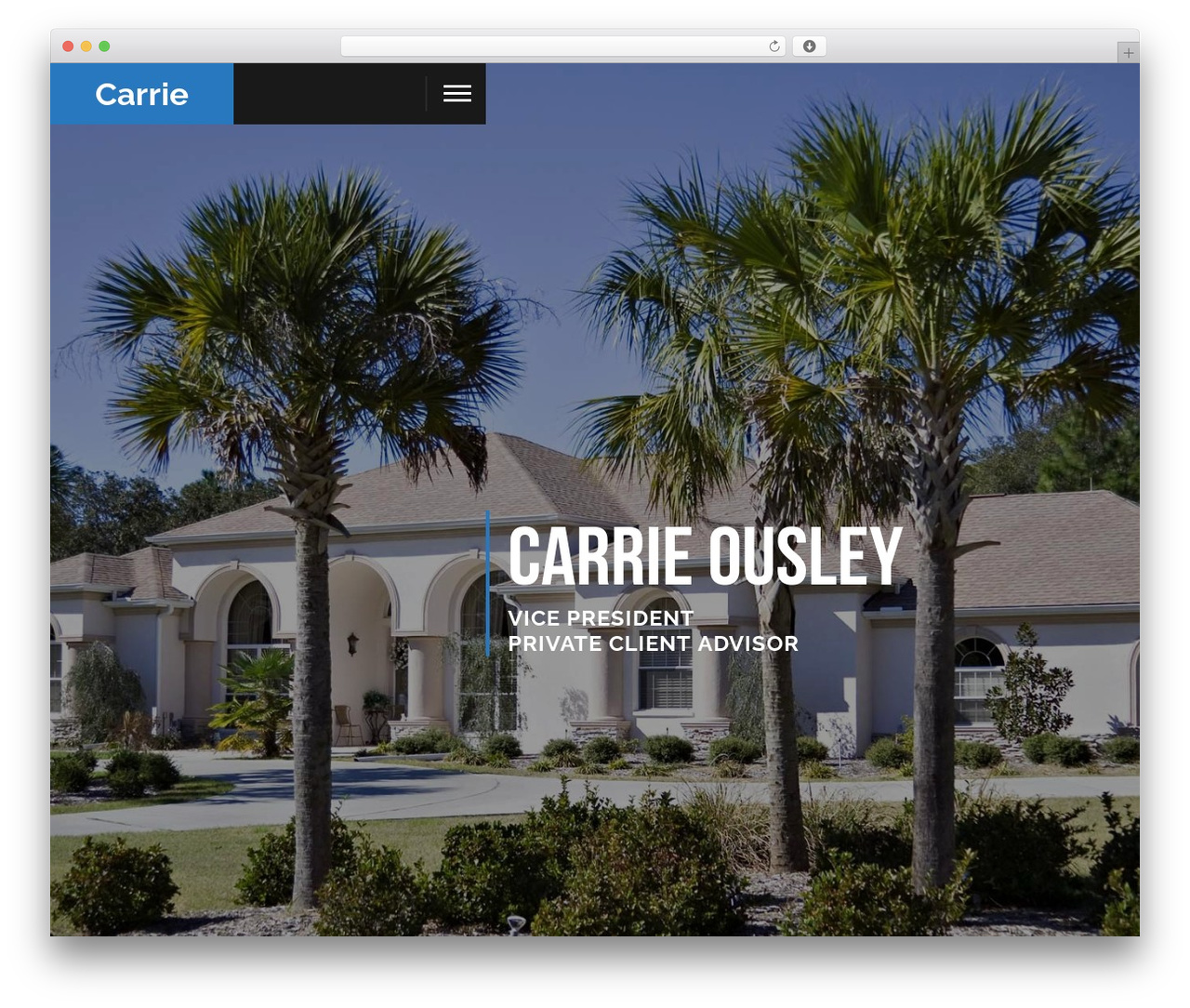 WordPress theme BionickWP - carrieousley.com