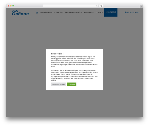 ACW BASIC best WordPress theme - puboceane.com