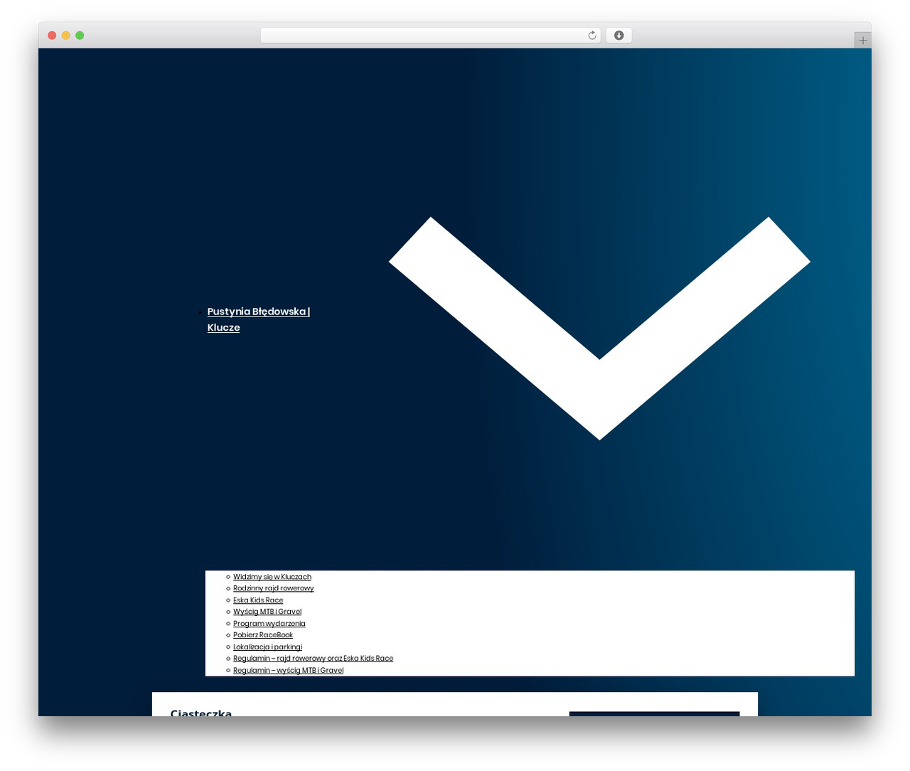 Bricks WordPress theme design - malopolskatour.pl
