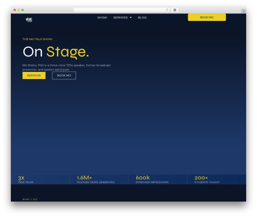 Search in place advanced WordPress plugin - themotalkshow.com