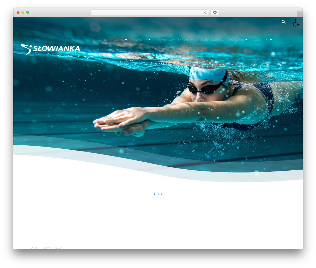 Hello Elementor WordPress theme - slowianka.pl