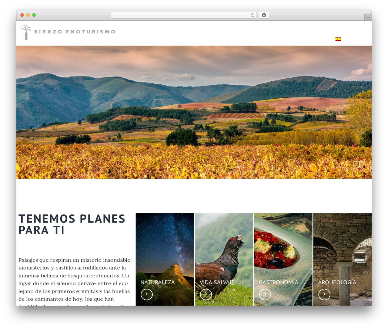 Massive Dynamic WP theme - bierzoenoturismo.com Massive Dynamic WP theme - bierzoenoturismo.com