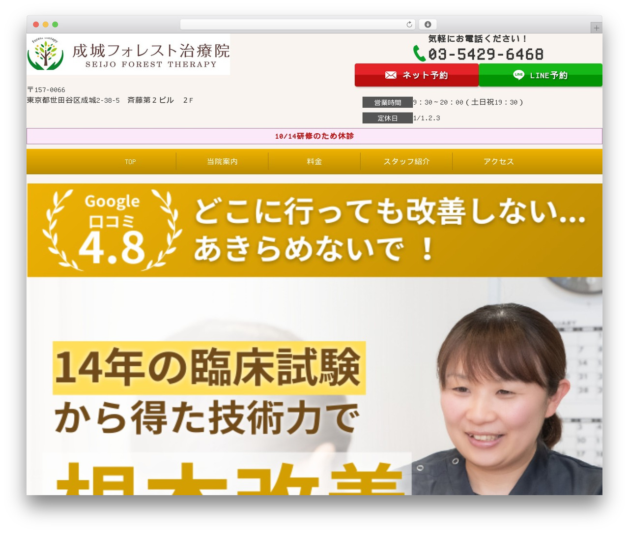 Selfull WordPress theme - nikonikoekimae.com