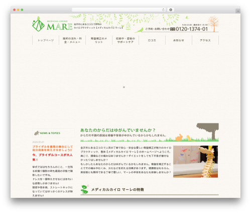 Themify Basic WordPress page theme - medical-chiromare.com