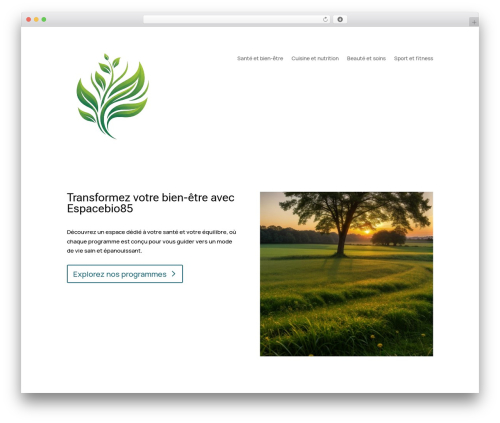 Divi dynamic helper WordPress plugin - espacebio85.com