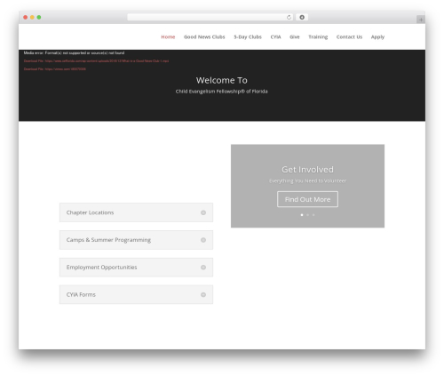 Direct Stripe (direct-stripe) free WordPress plugin - cefflorida.com Direct Stripe (direct-stripe) free WordPress plugin - cefflorida.com