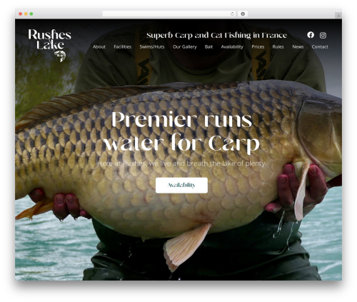 Booking calendar pro payment WordPress plugin - rusheslake.com