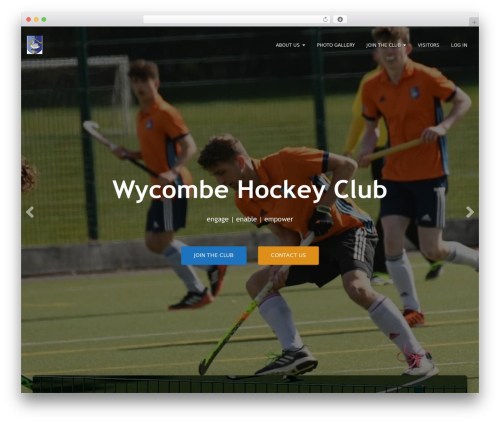 Gravityview WordPress plugin - wycombehockeyclub.co.uk