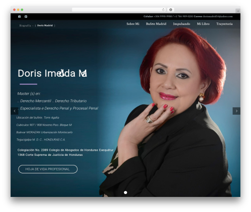 Profiles widgets plugin WordPress plugin - dorismadrid.com