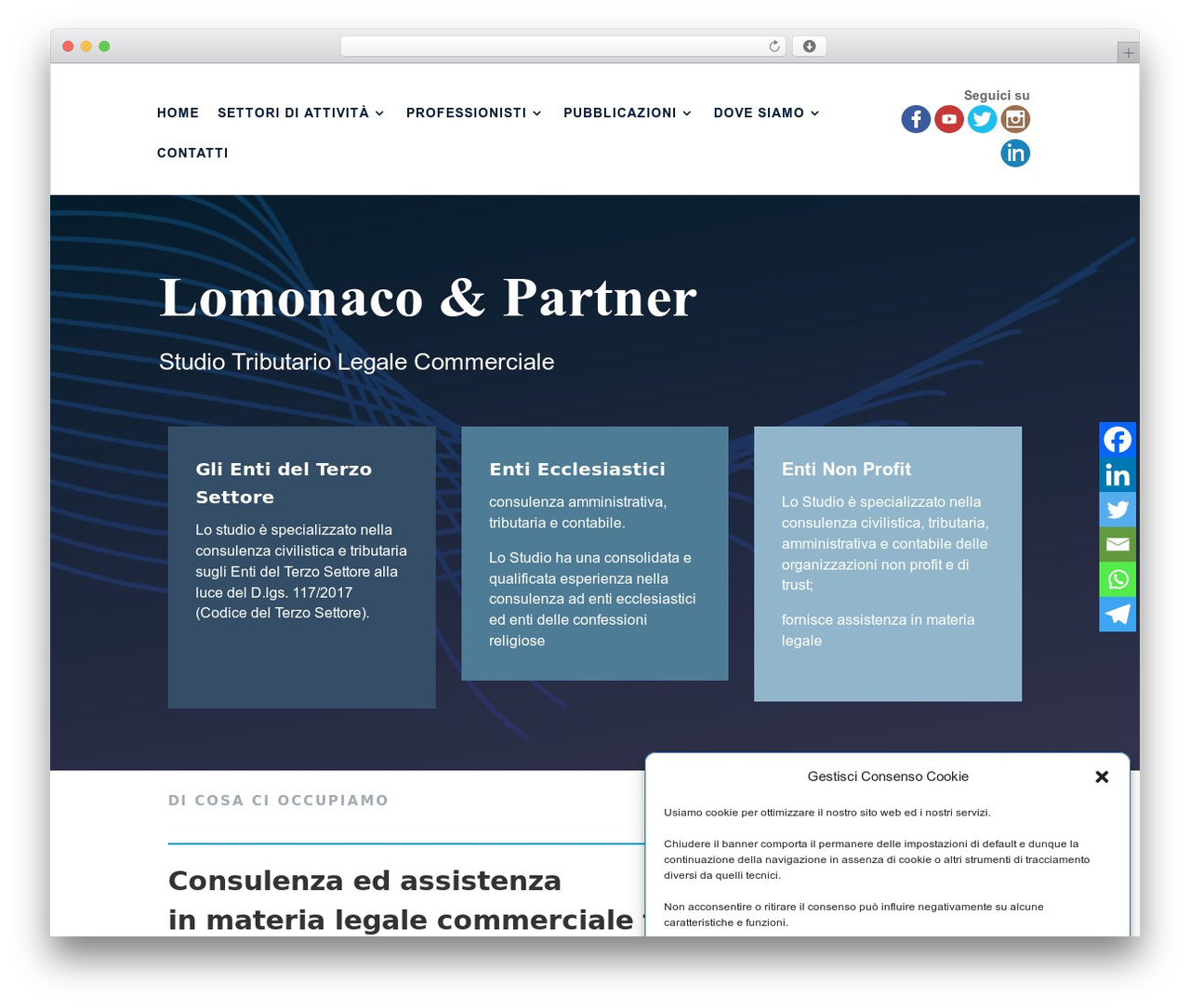 Theme WordPress Divi - studiolomonaco.com