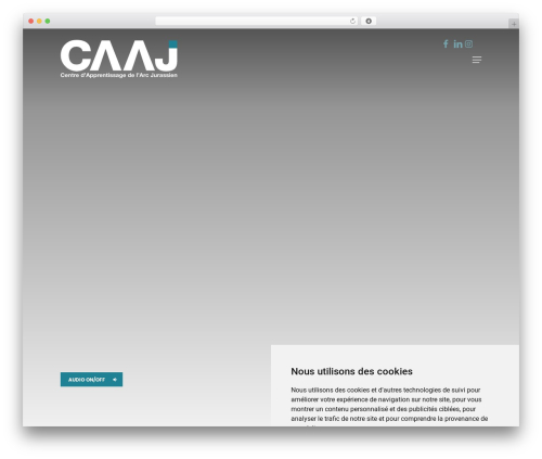 VNV WordPress theme - caaj.ch