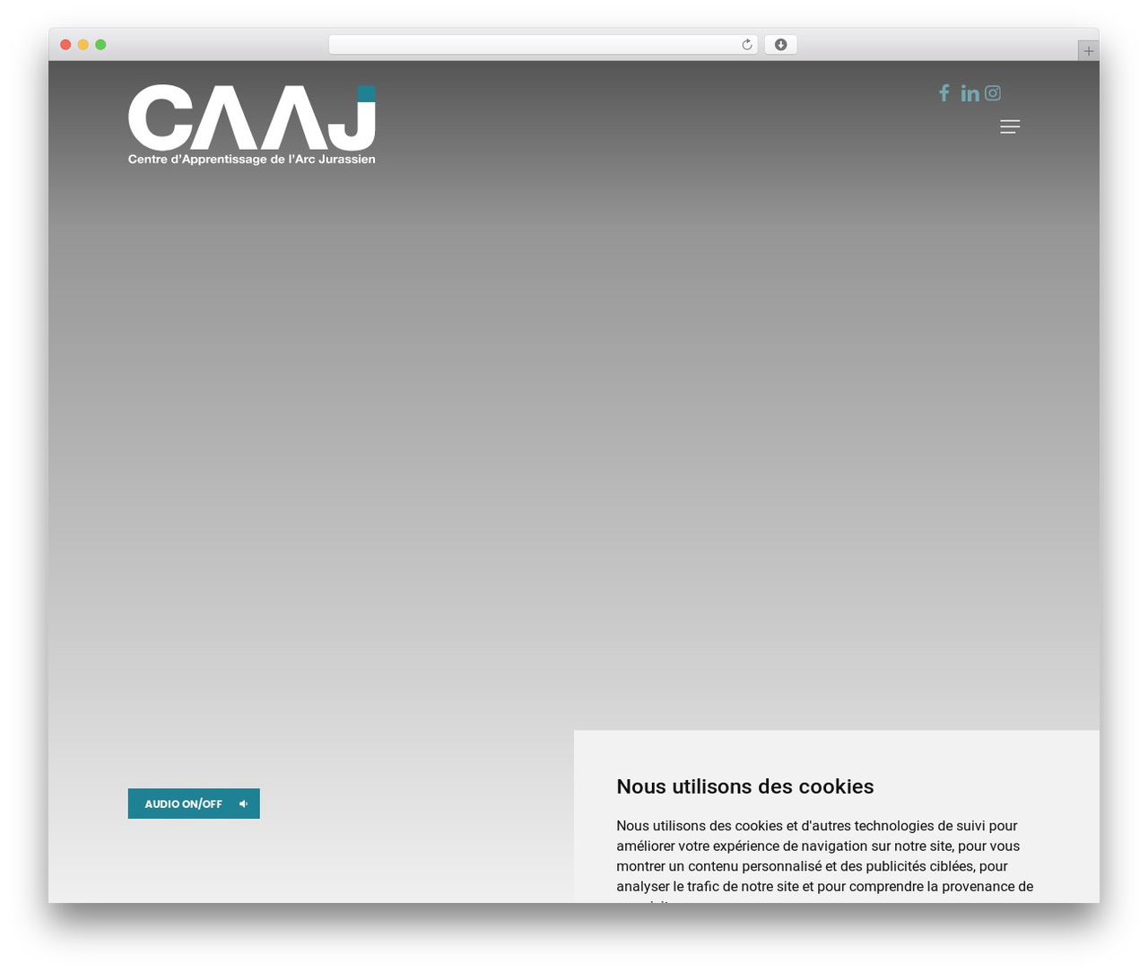 VNV WordPress theme - caaj.ch VNV WordPress theme - caaj.ch