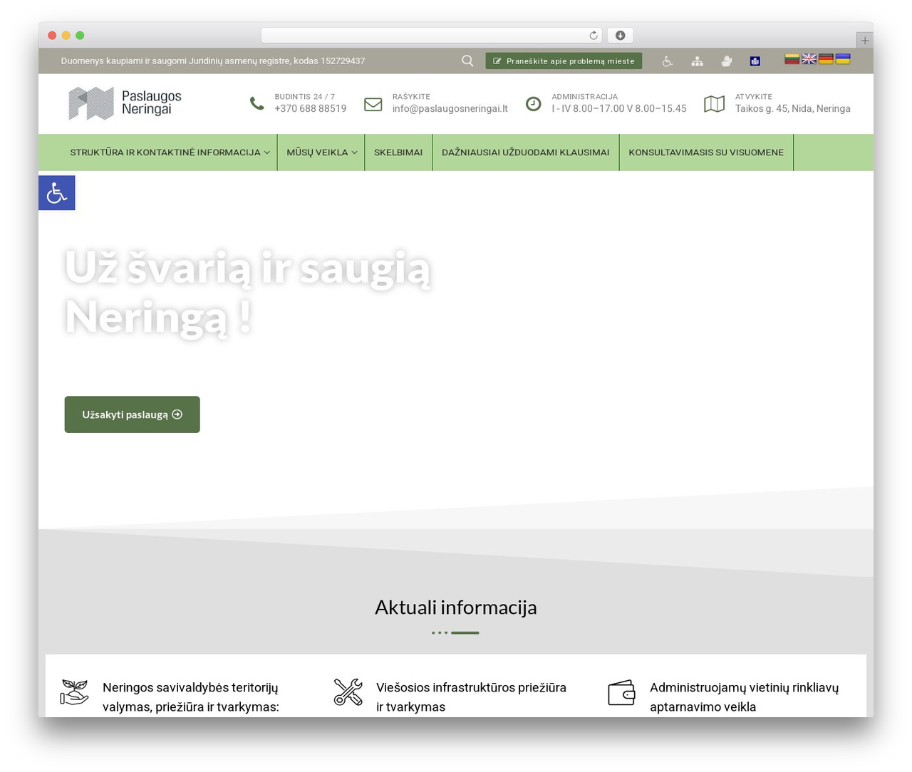 WordPress theme Design - www.paslaugosneringai.lt WordPress theme Design - www.paslaugosneringai.lt