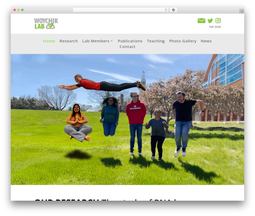 WordPress theme Divi - woychiklab.com