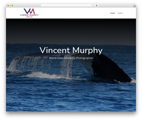 Rev_slider WordPress plugin - vincentmurphyphotography.com
