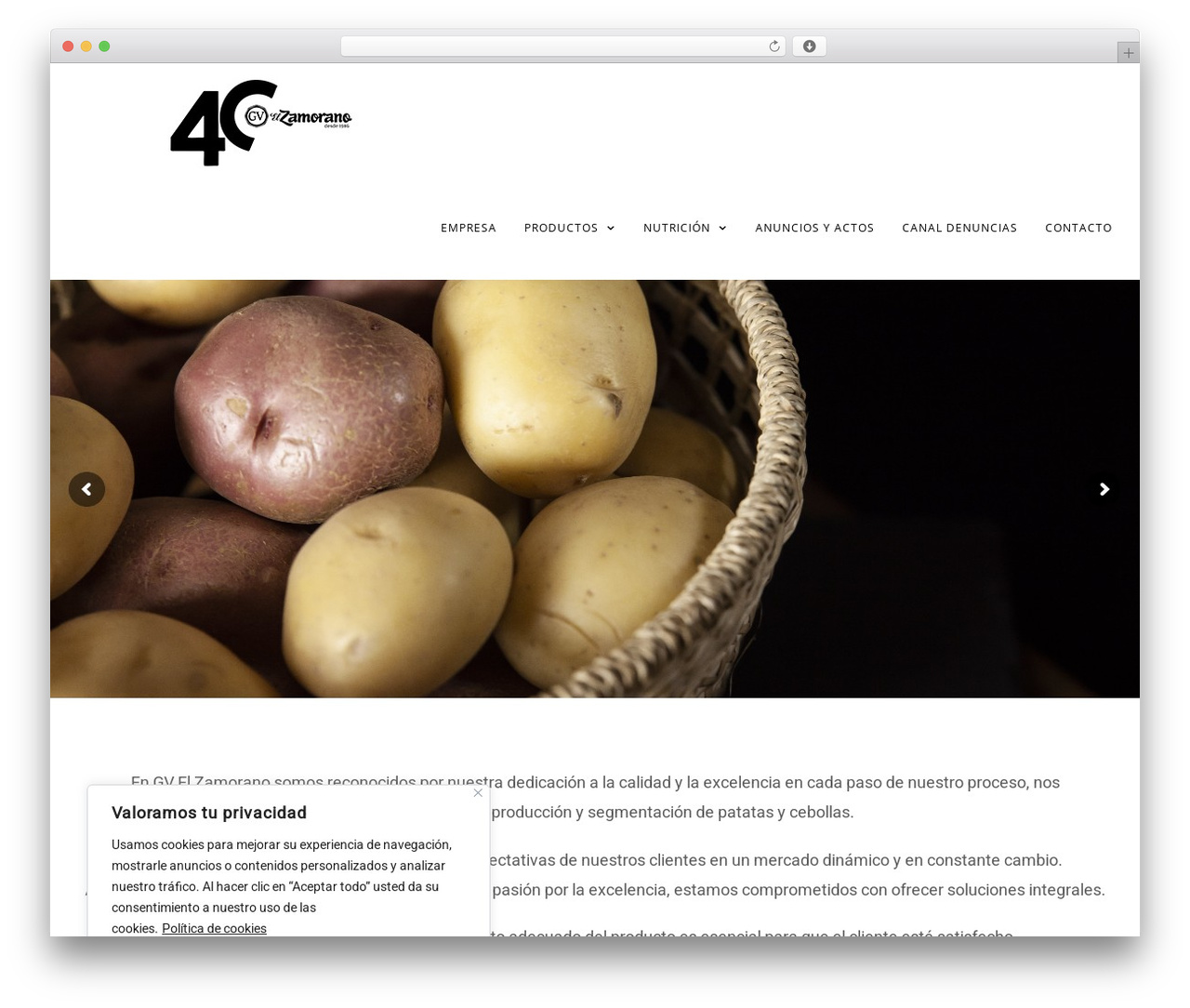 Avada WordPress theme - gvelzamorano.com