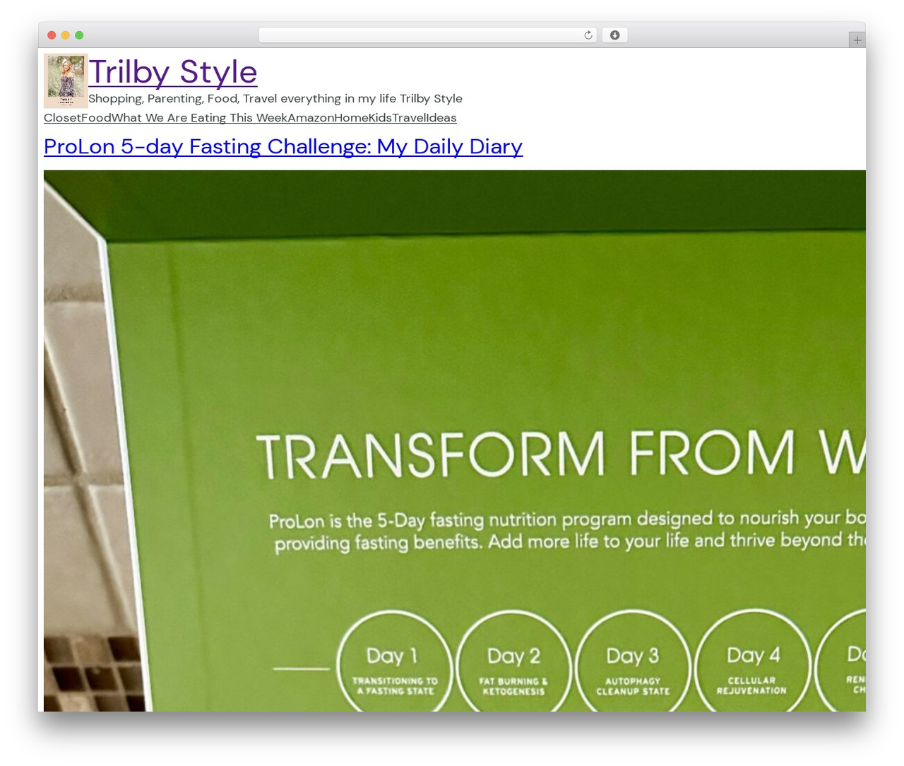 Blockbase WordPress theme - trilbystyle.com