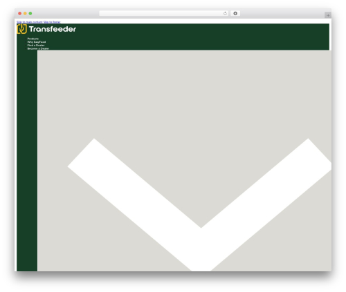 Bricks theme WordPress - transfeeder.ca