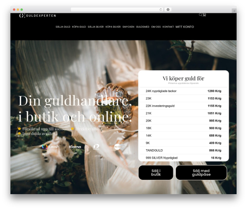 Hello Elementor best WordPress theme - guldexperten.se