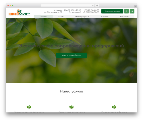 IMS Basic WordPress theme - ecomir43.ru