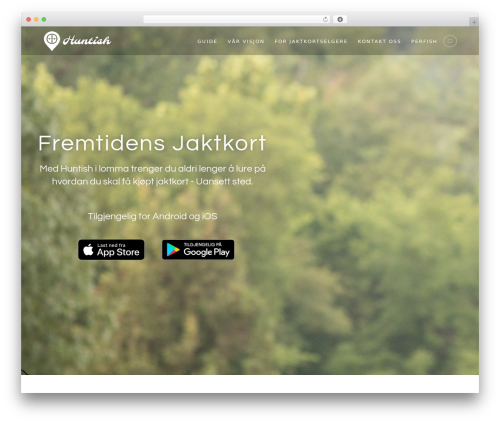 Wp hummingbird WordPress plugin - huntish.no