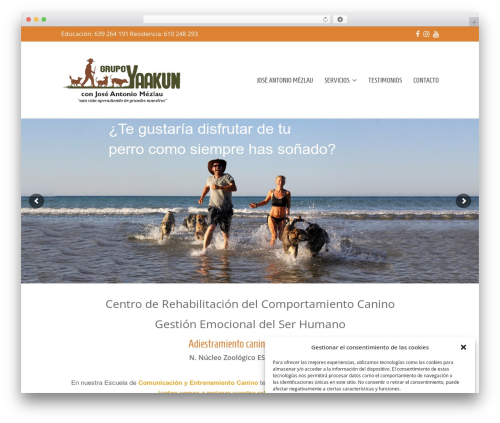WordPress Form Customizer | CF7 Customizer (cf7-customizer) free WordPress plugin - grupoyaakun.com