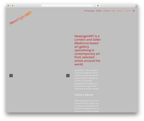 Ionos assistant WordPress plugin - newingerart.com