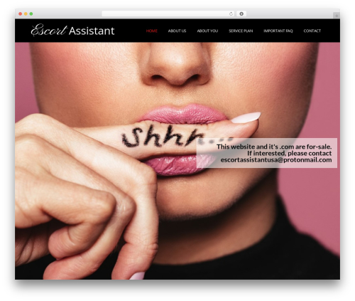 Stickysites meeting request WordPress plugin - escortassistant.ch