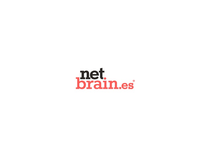 WordPress theme Netbrain Theme Base WordPress theme Netbrain Theme Base