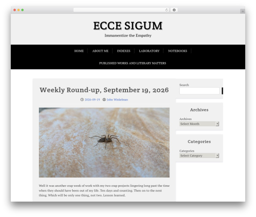 X Blog premium WordPress theme - eccesignum.org