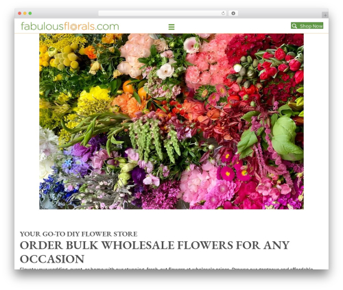 Omnisend WordPress plugin - fabulousflorals.com