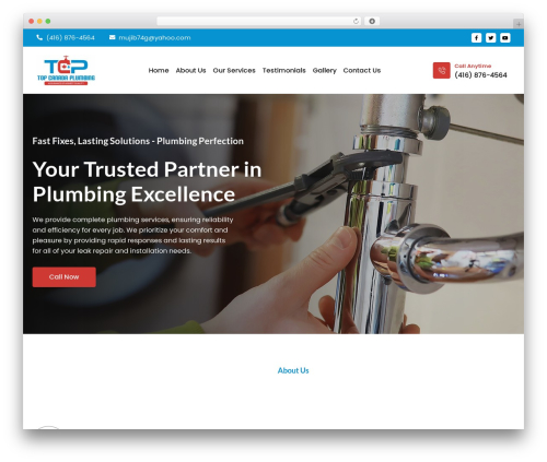 Color changer elementor WordPress plugin - bestplumbingservicesca.com/plumbing-service-in-pickering-on