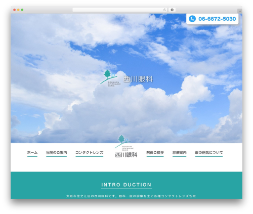 my-theme WordPress theme - nishikawaganka.com