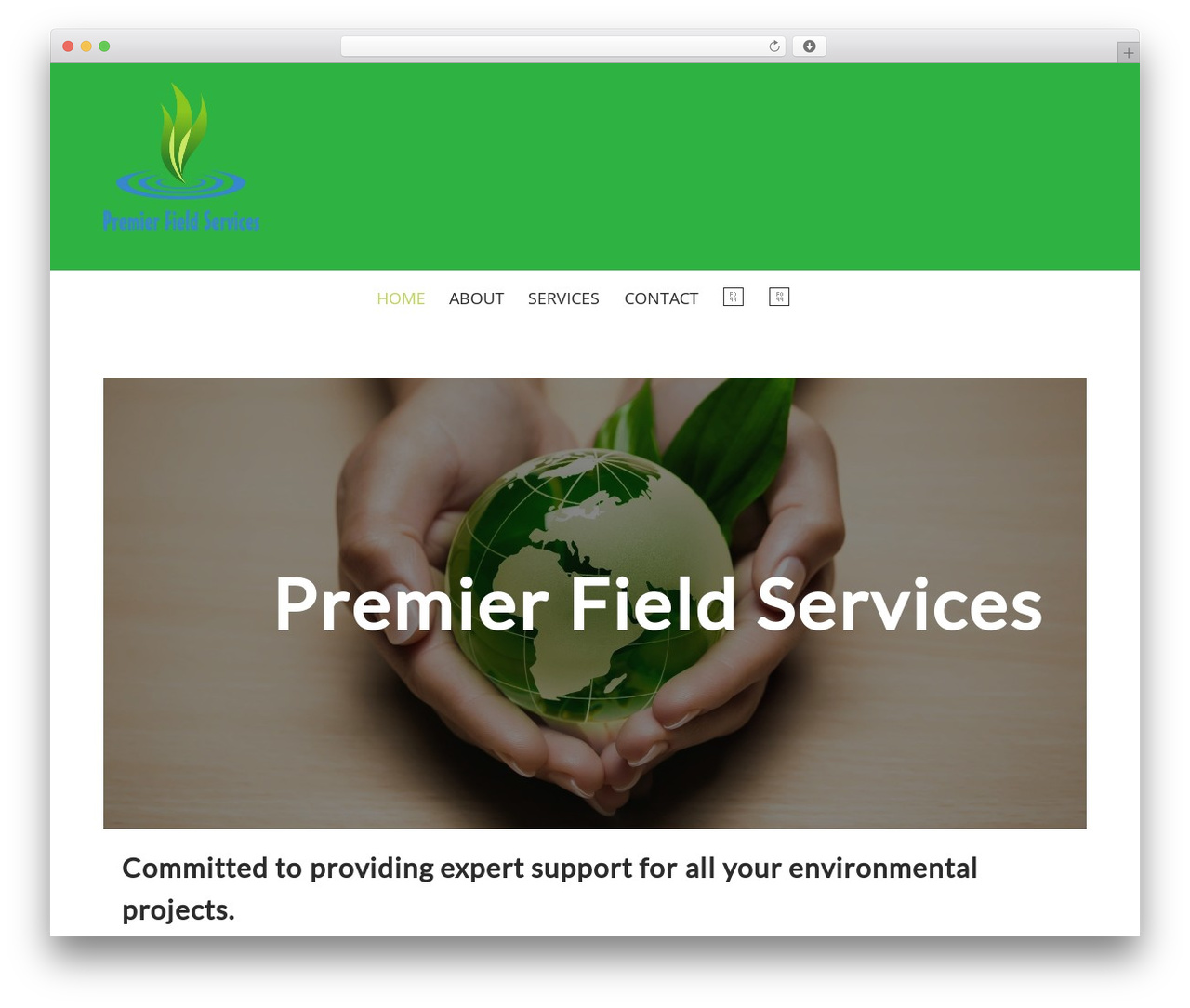 Pharmacy WordPress theme - pfsnjonline.com