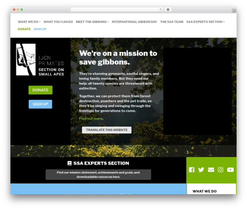 SSA WordPress theme - gibbons.asia