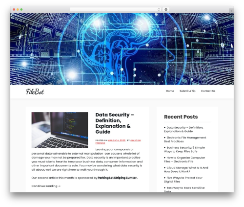 Theme WordPress Amazorize - filebot.org