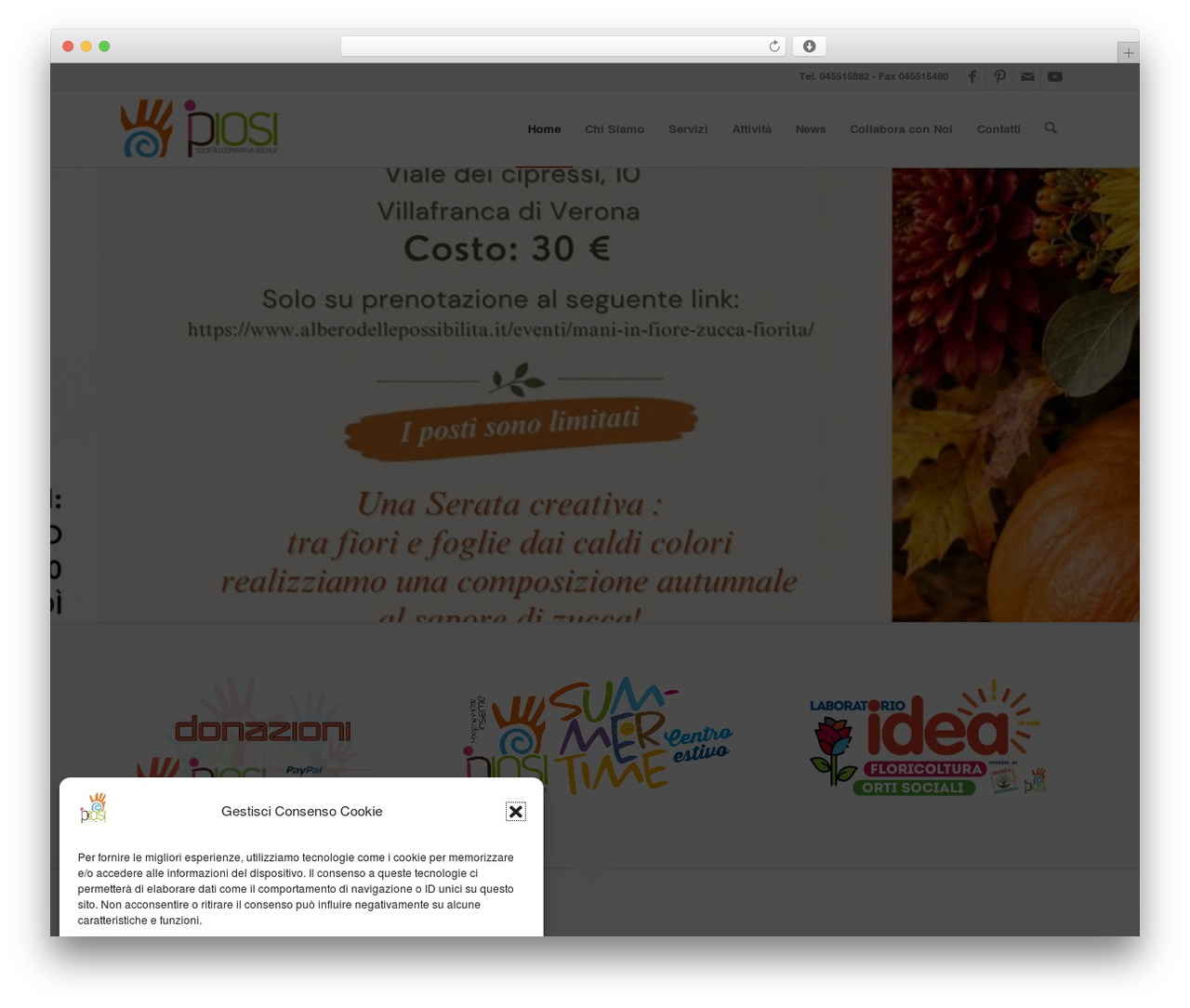 Theme WordPress Enfold - ipiosi.it Theme WordPress Enfold - ipiosi.it