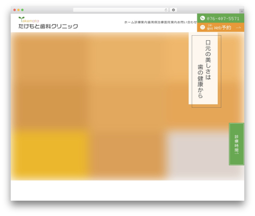 Themify Basic top WordPress theme - takemotoshika.com