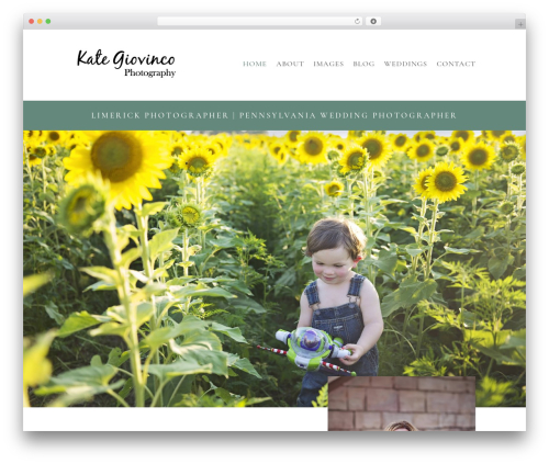 WordPress theme Divi - kategiovinco.com