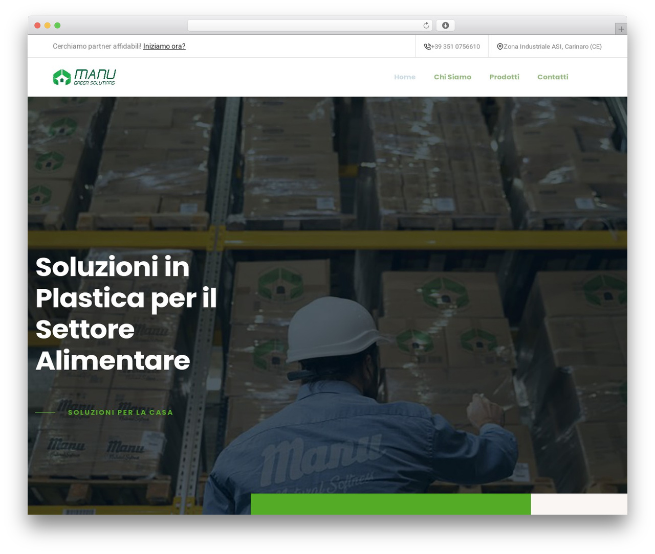 WordPress theme Manu Green Litho Child - manugreen.com
