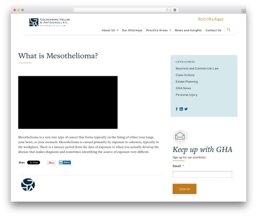 WordPress Full Screen Search Overlay (full-screen-search-overlay) free WordPress plugin - goldenbergheller.com/mesothelioma WordPress Full Screen Search Overlay (full-screen-search-overlay) free WordPress plugin - goldenbergheller.com/mesothelioma