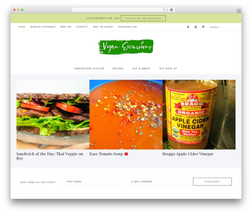 Captivating Theme WordPress travel theme - veganexcursions.com