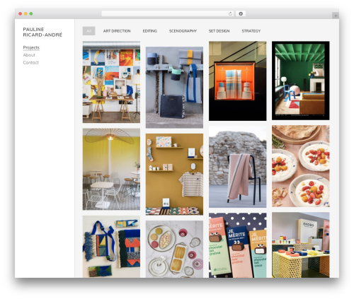 Skylab WordPress theme - paulinericardandre.com