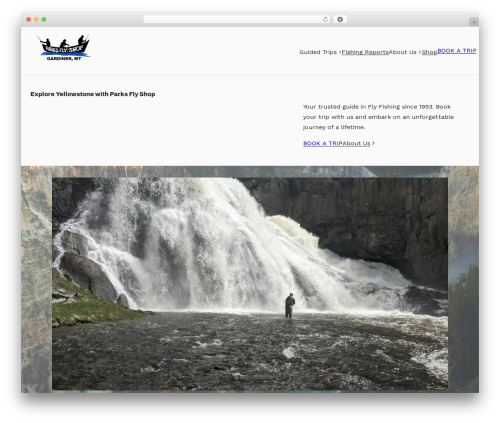 Mega menu block WordPress plugin - parksflyshop.com